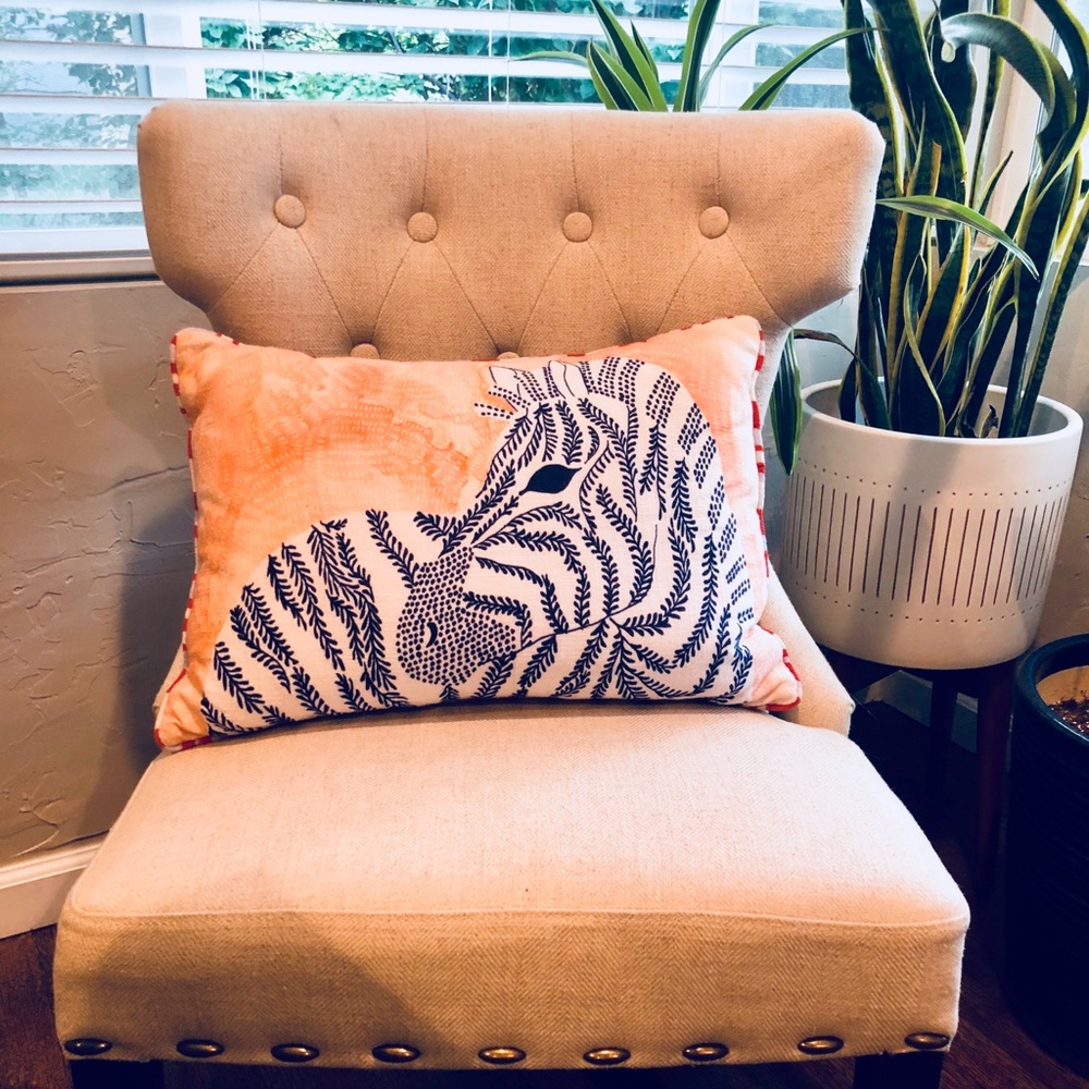 Anthropologie zebra throw pillow